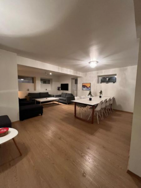 Spacious apartment- walking distance to citycenter